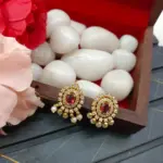 AD Fancy Earrings