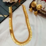 Lakshmi Coin Long Neck Set