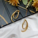 Fancy Earrings